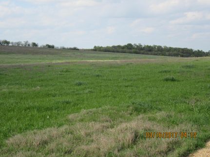 Farm Property in Bell County, Texas
