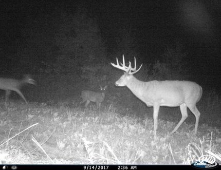 Ranch Property in Marquette County, Wisconsin