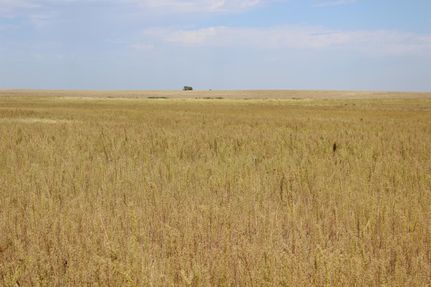 Farm Property in Cheyenne County, Nebraska
