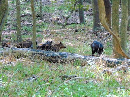 Farm Property in Lavaca County, Texas