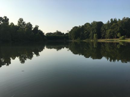 Ranch Property in Fayette County, Tennessee