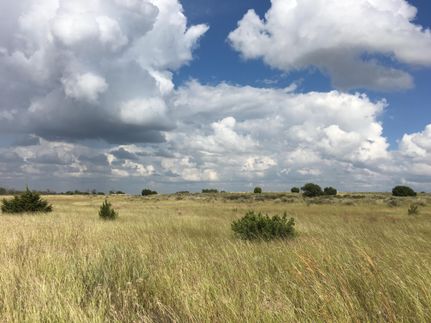 Ranch Property in Donley County, Texas
