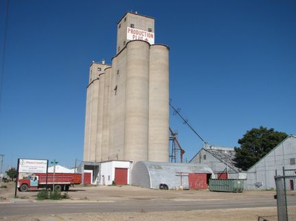 Undeveloped Land in Hale County, Texas