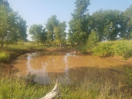 Farm Property in Foard County, Texas