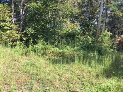 Farm Property in Union County, Tennessee