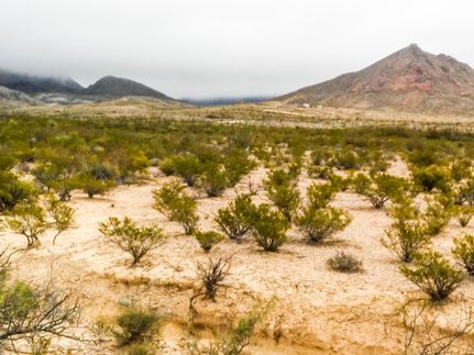 Farm Property in Brewster County, Texas