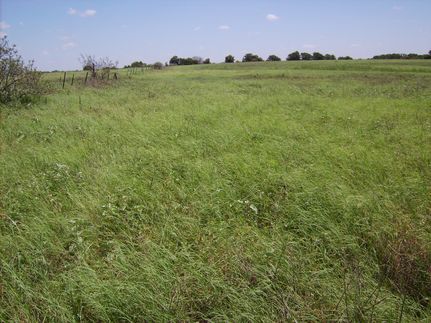 Hunting Land in Hill County, Texas