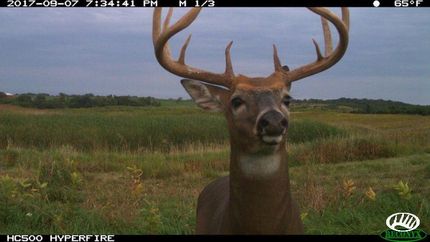 Ranch Property in Winona County, Minnesota