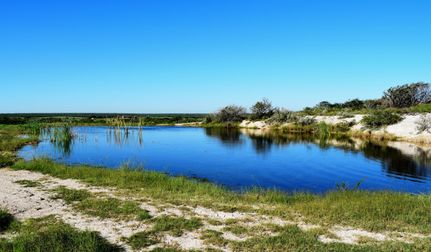 Ranch Property in Live Oak County, Texas