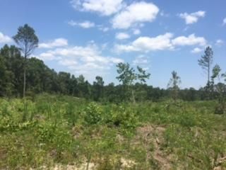 Timberland Property in Elmore County, Alabama