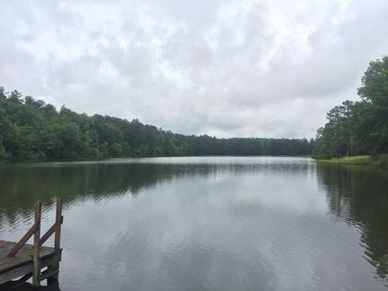 Property in Lamar County, Alabama