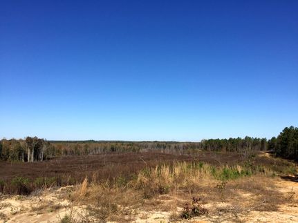 Property in McNairy County, Tennessee