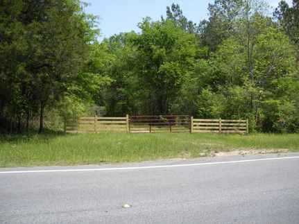 Timberland Property in Macon County, Alabama