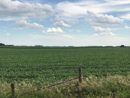 Property in Buena Vista County, Iowa