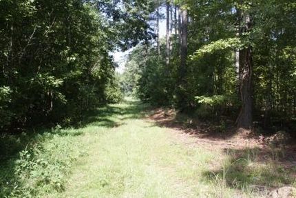 Timberland Property in Calhoun County, South Carolina