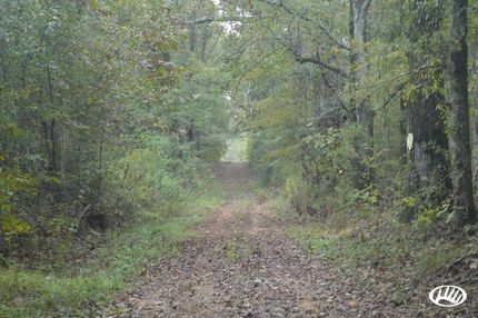 Farm Property in Avoyelles Parish, Louisiana