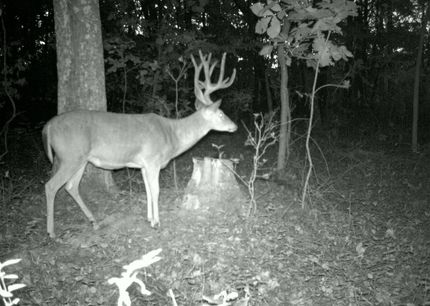 Property in Jefferson County, Illinois