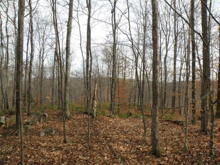 Hunting Land in Orange County, Vermont