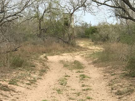 Ranch Property in Hidalgo County, Texas