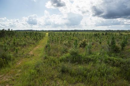 Ranch Property in Santa Rosa County, Florida