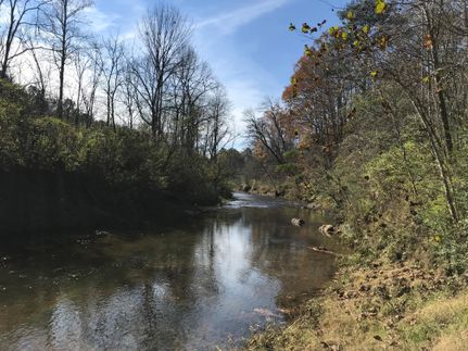 Waterfront Property in Cherokee County, Georgia
