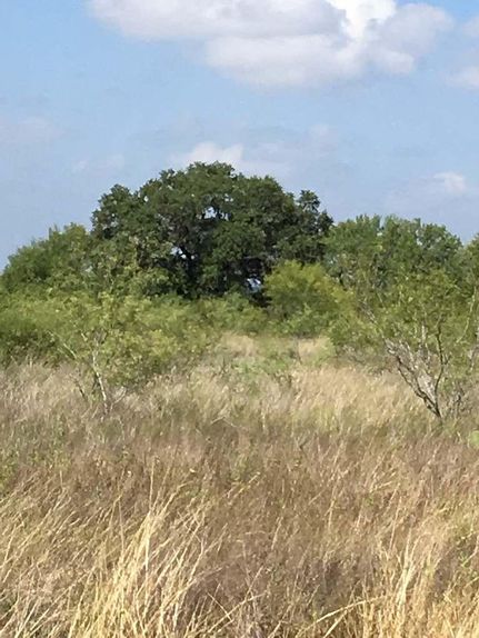 Ranch Property in Medina County, Texas