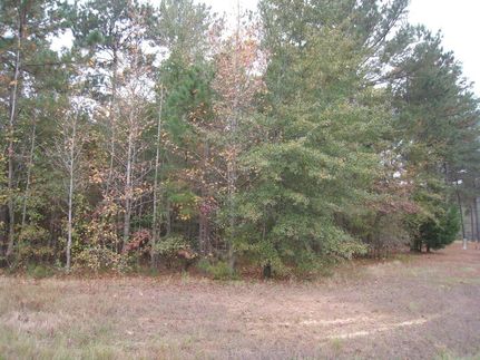 Undeveloped Land in Henderson County, Texas