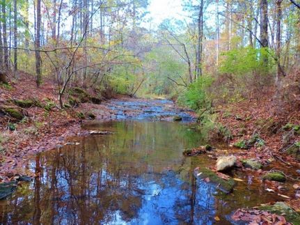 Property in Butts County, Georgia