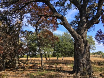 Property in Burnet County, Texas