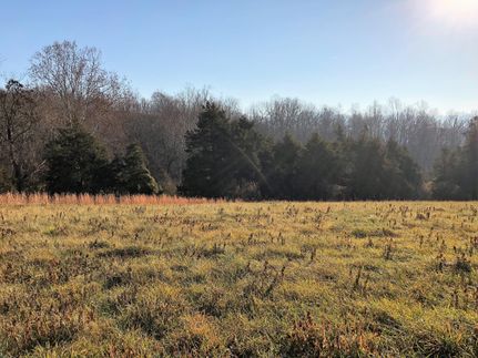 Residential Property in Rockbridge County, Virginia