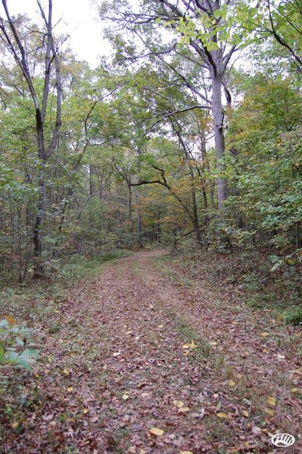 Property in Newton County, Arkansas