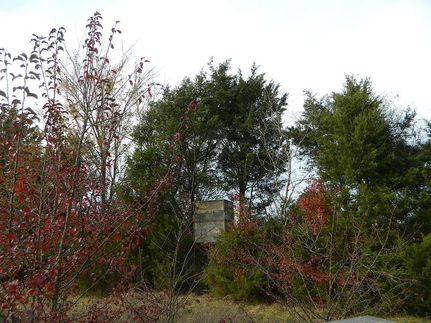 Property in Red River County, Texas