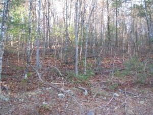 Hunting Land in Craig County, Virginia