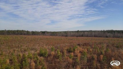 Property in Warren County, North Carolina