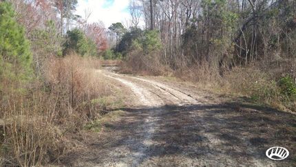 Ranch Property in Hyde County, North Carolina