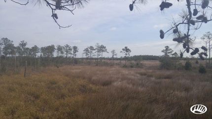 Property in Pamlico County, North Carolina