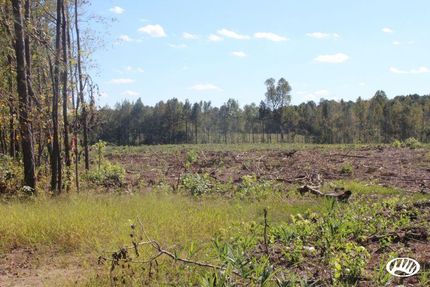 Property in Edgecombe County, North Carolina