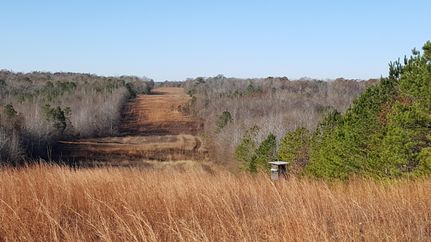 Farm Property in Chilton County, Alabama