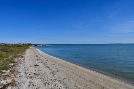 Undeveloped Land in Kleberg County, Texas