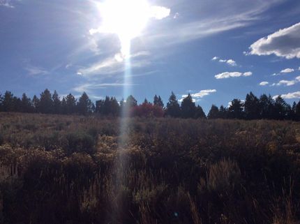 Farm Property in Utah County, Utah