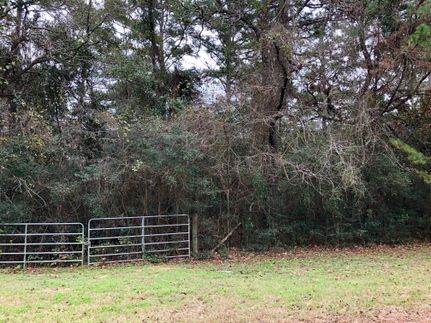 Timberland Property in Grimes County, Texas
