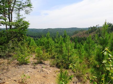 Farm Property in Fayette County, Alabama
