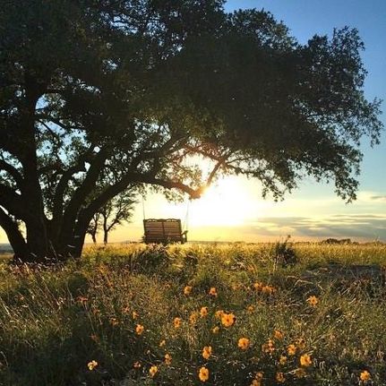 Farm Property in Blanco County, Texas