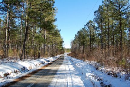 Hunting Land in Sussex County, Virginia