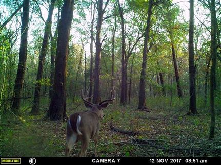 Ranch Property in Le Flore County, Oklahoma