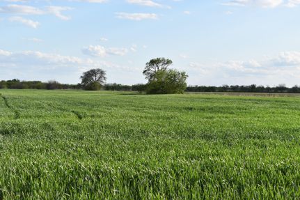 Recreational Property in Grayson County, Texas