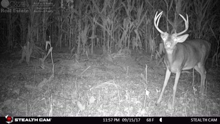 Farm Property in Sauk County, Wisconsin