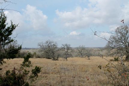 Farm Property in Caldwell County, Texas