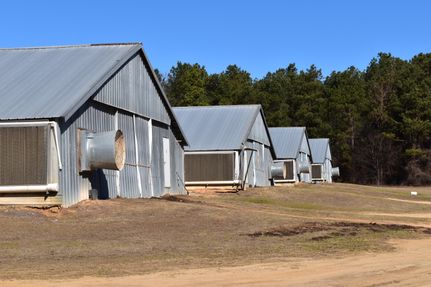 Property in Macon County, Georgia