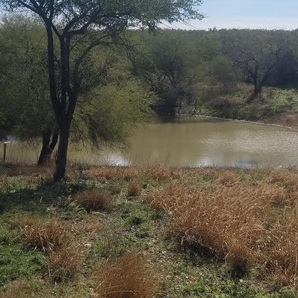 Property in Duval County, Texas